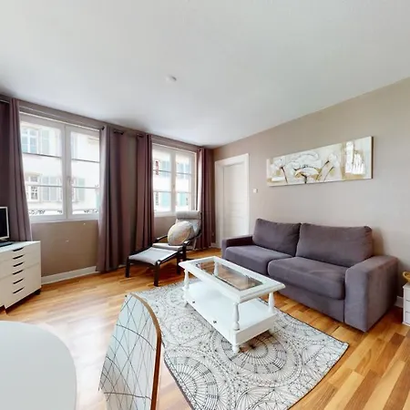 Petite Venise Centre Historique Apartment Colmar